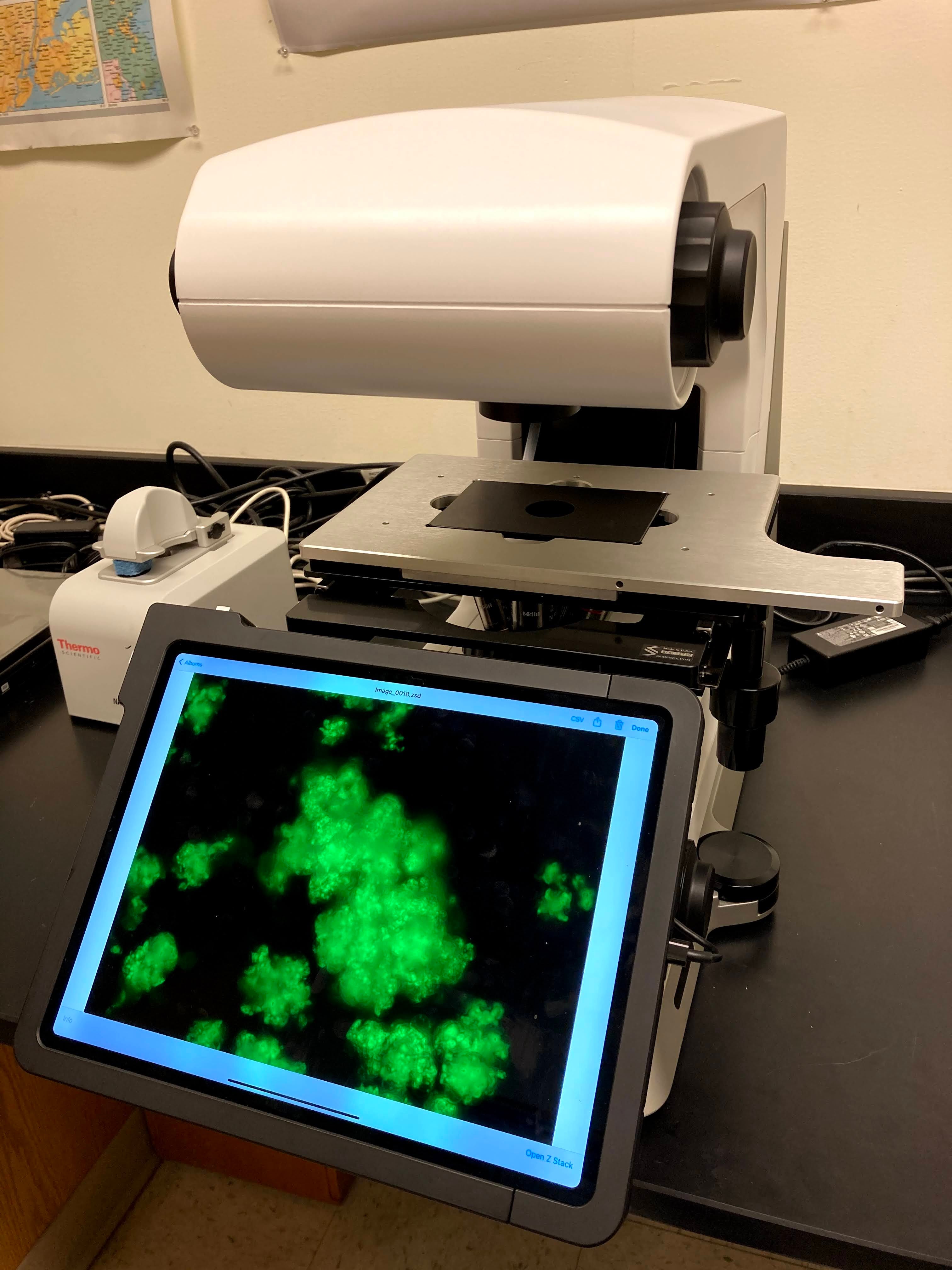 Echo Revolve upright and inverted microscope