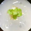 L. Sativa Butter Crunch Lettuce. Photo: Serene Koudsi.